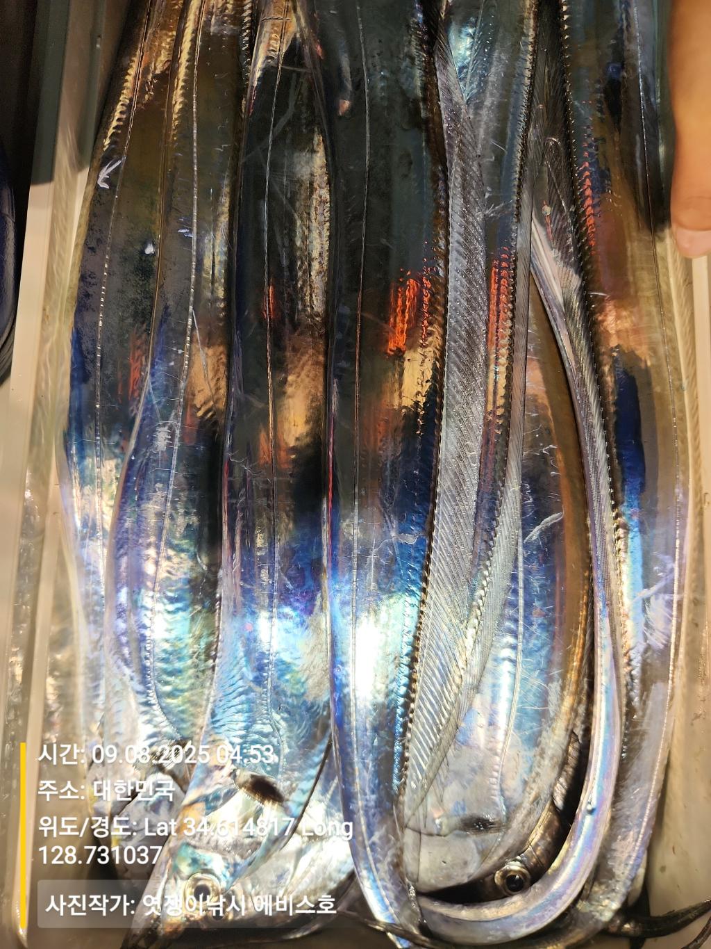 F2775984PZ.jpg