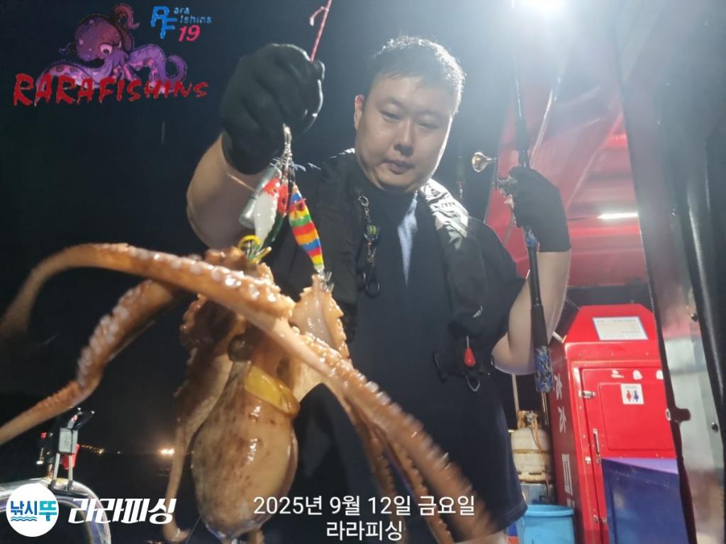 낚시뚜,돌문어,속천항(진해),라라피싱,낚시뚜6