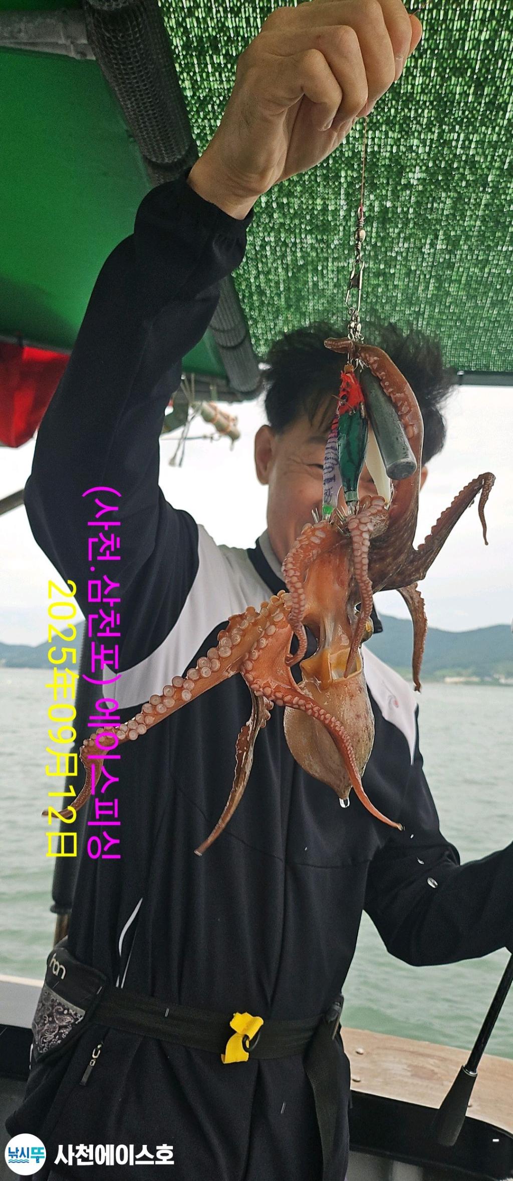 F2776138TF.jpg
