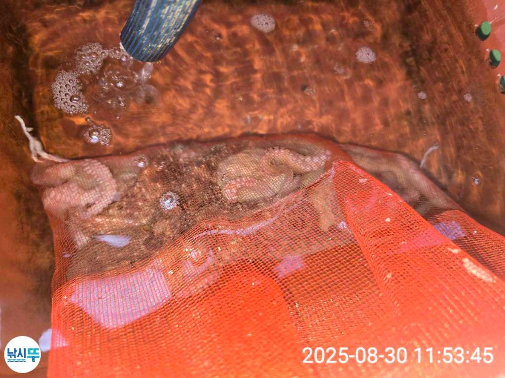 F27762099E.jpg