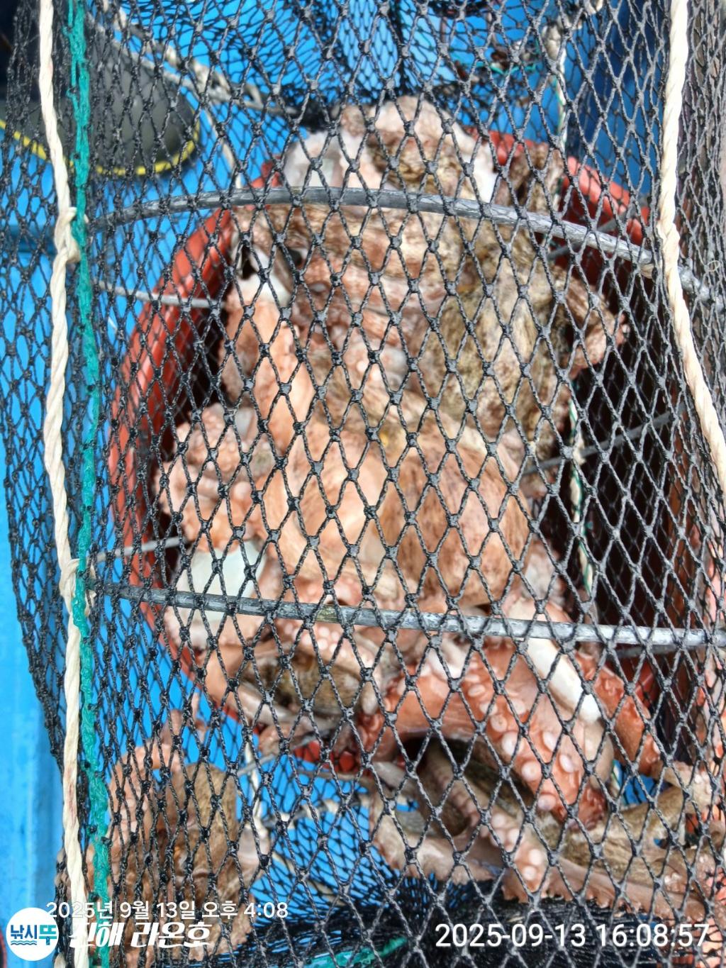F27762287A.jpg