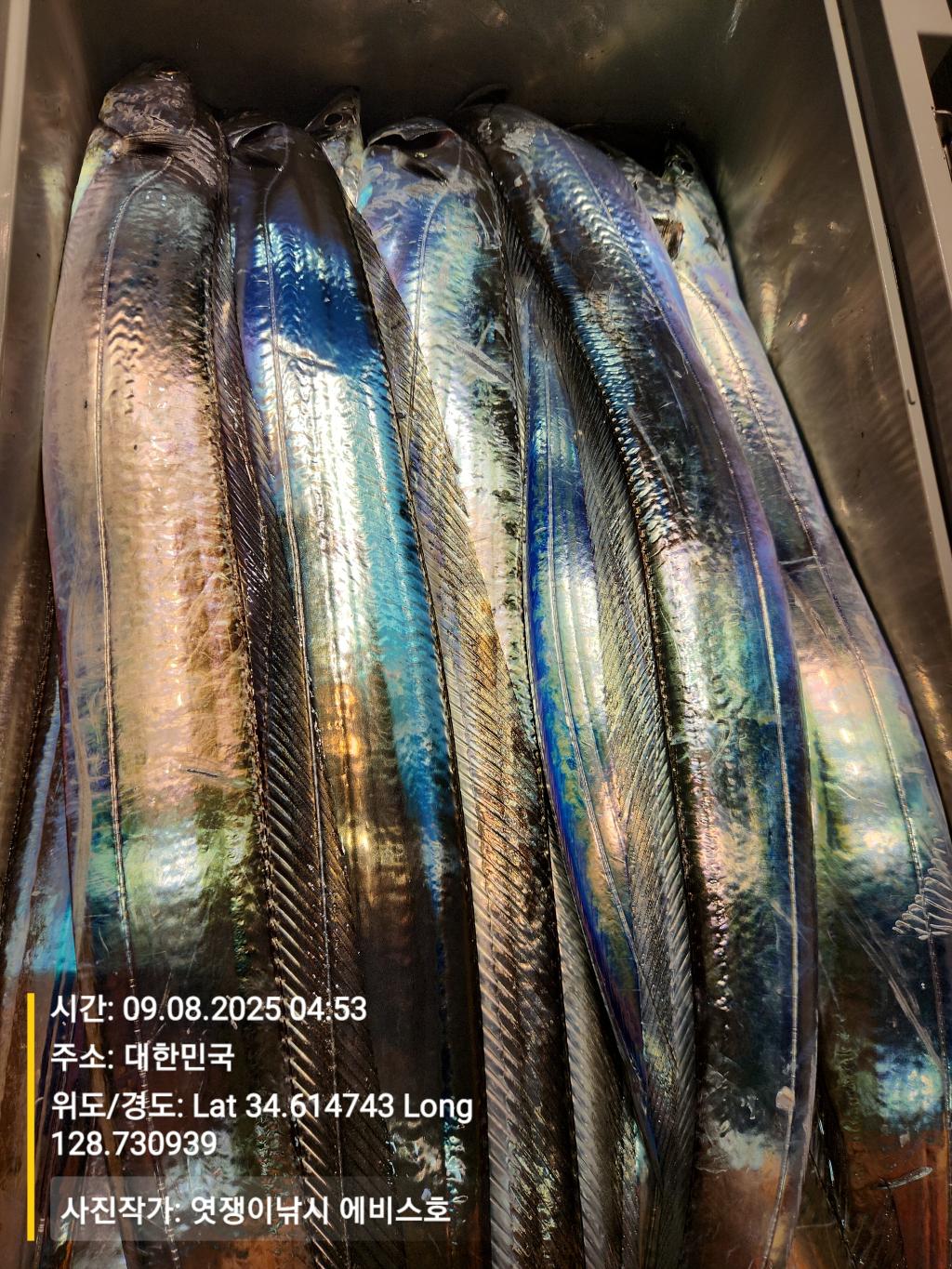 F2775981A7.jpg