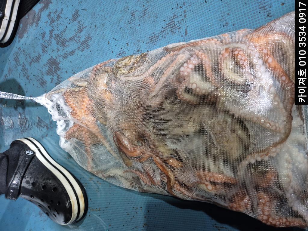 낚시뚜,기타 (직접입력),영일만항,포항카이져호,낚시뚜8