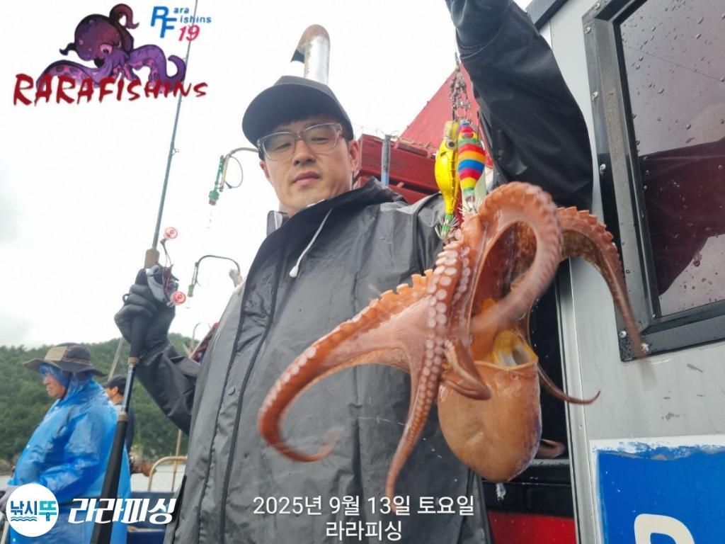 낚시뚜,돌문어,속천항(진해),라라피싱,낚시뚜21