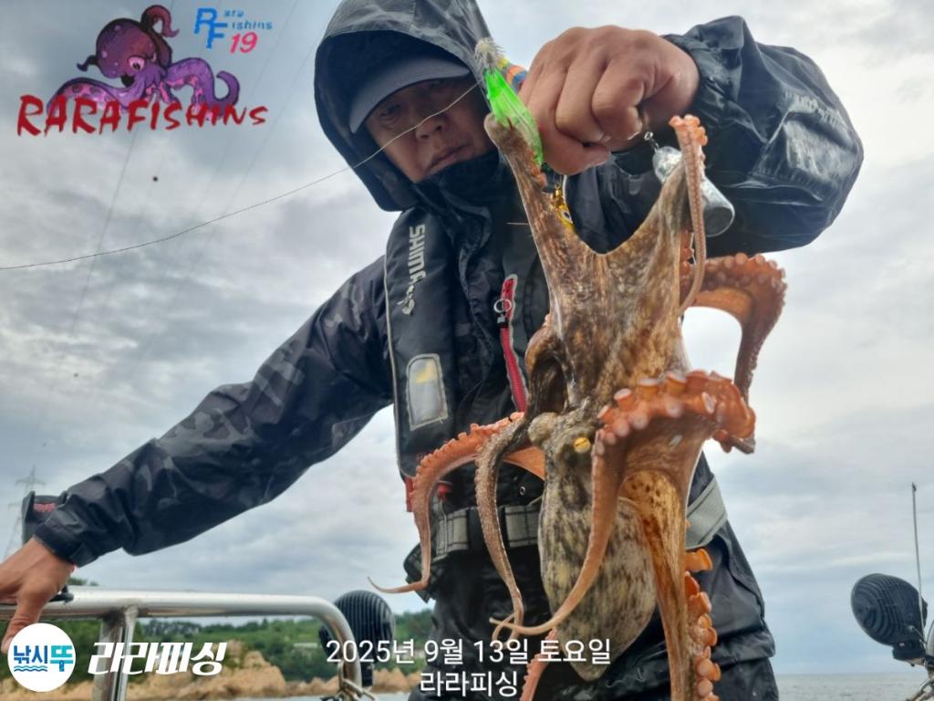 낚시뚜,돌문어,속천항(진해),라라피싱,낚시뚜20