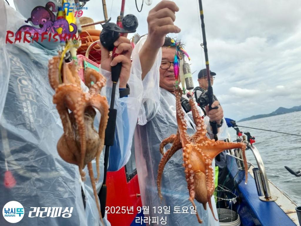 낚시뚜,돌문어,속천항(진해),라라피싱,낚시뚜17