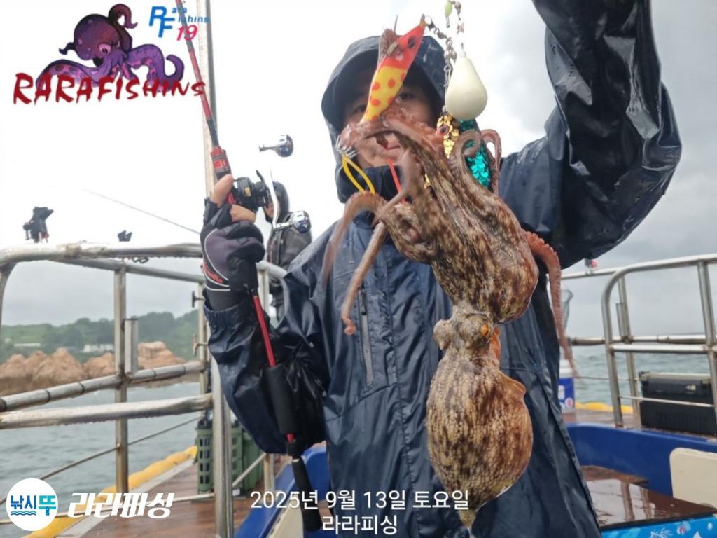 낚시뚜,돌문어,속천항(진해),라라피싱,낚시뚜16