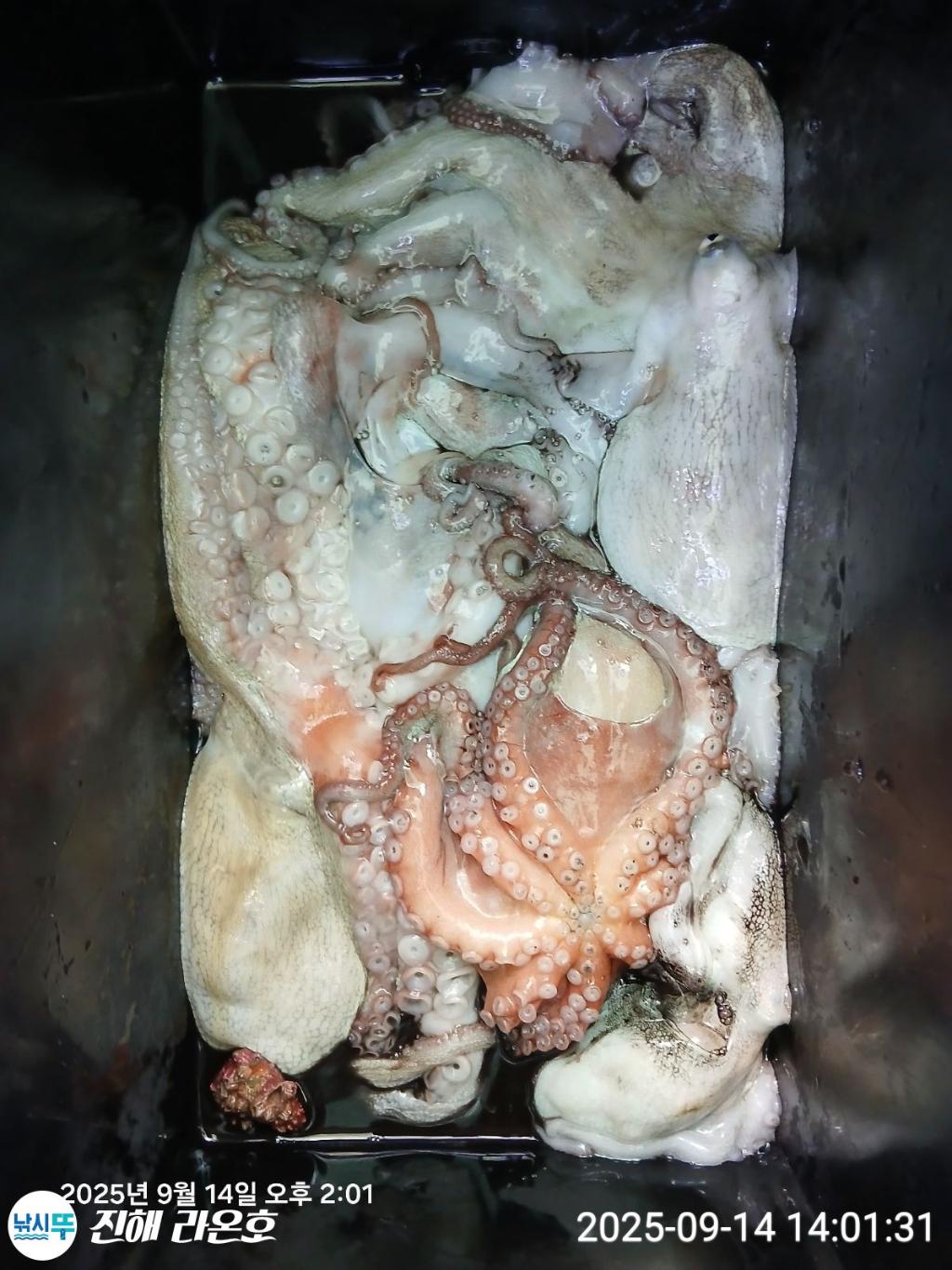 F2776712RH.jpg