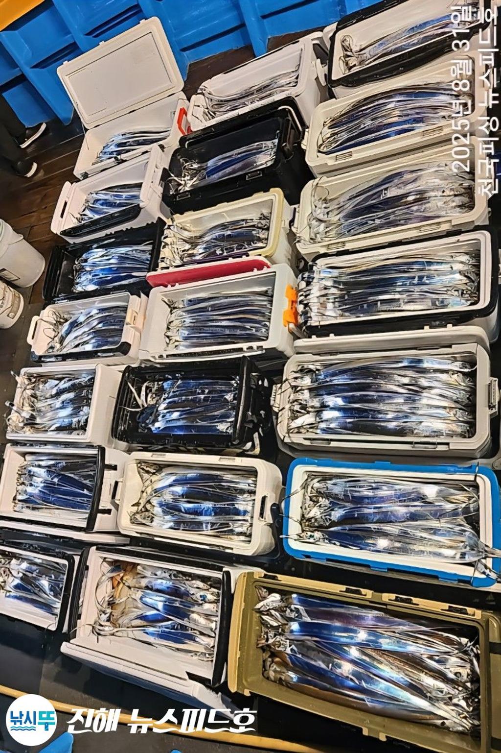 낚시뚜,갈치,진해행암항,진해 뉴스피드호,낚시뚜30