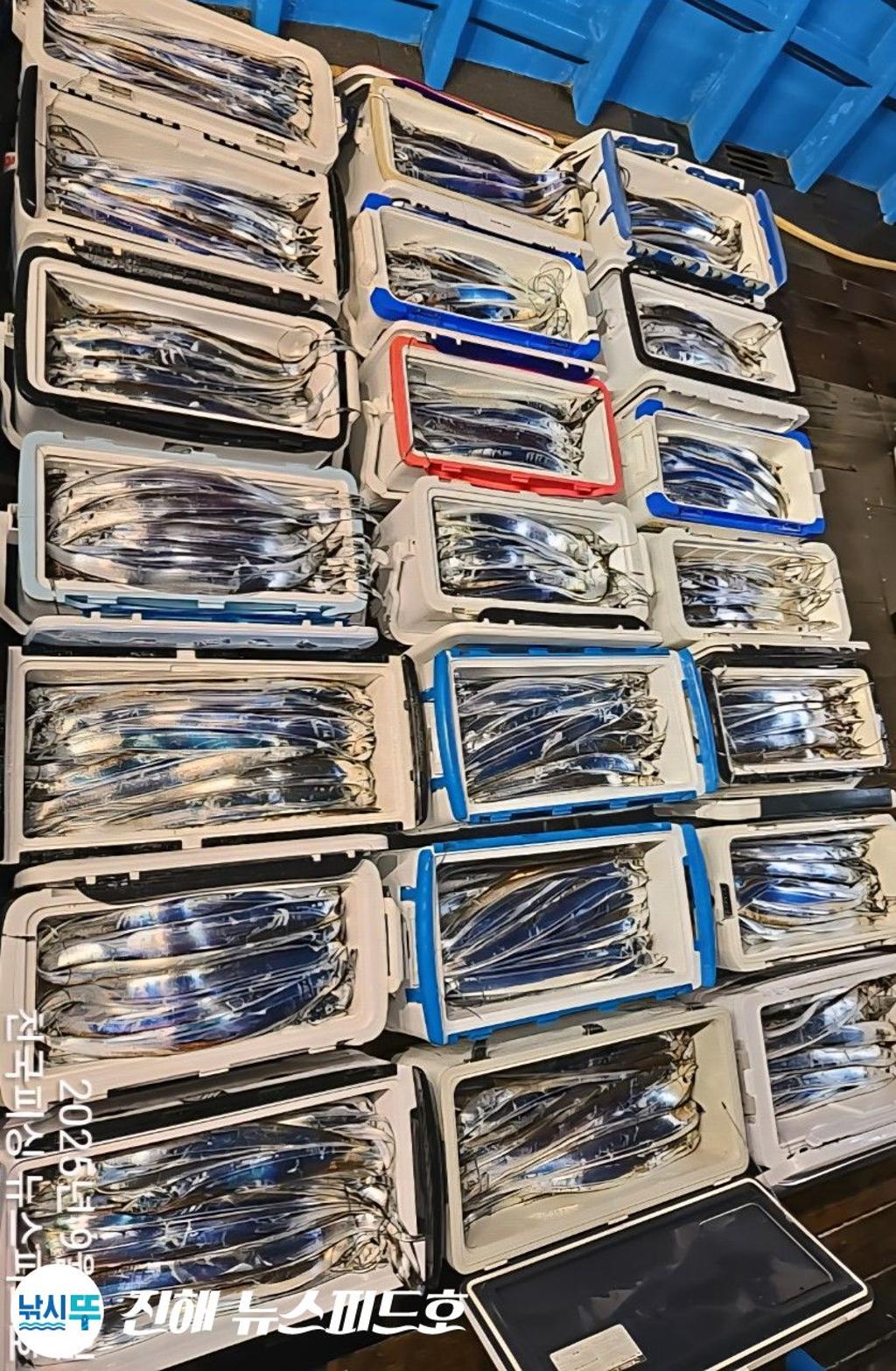 낚시뚜,갈치,진해행암항,진해 뉴스피드호,낚시뚜24