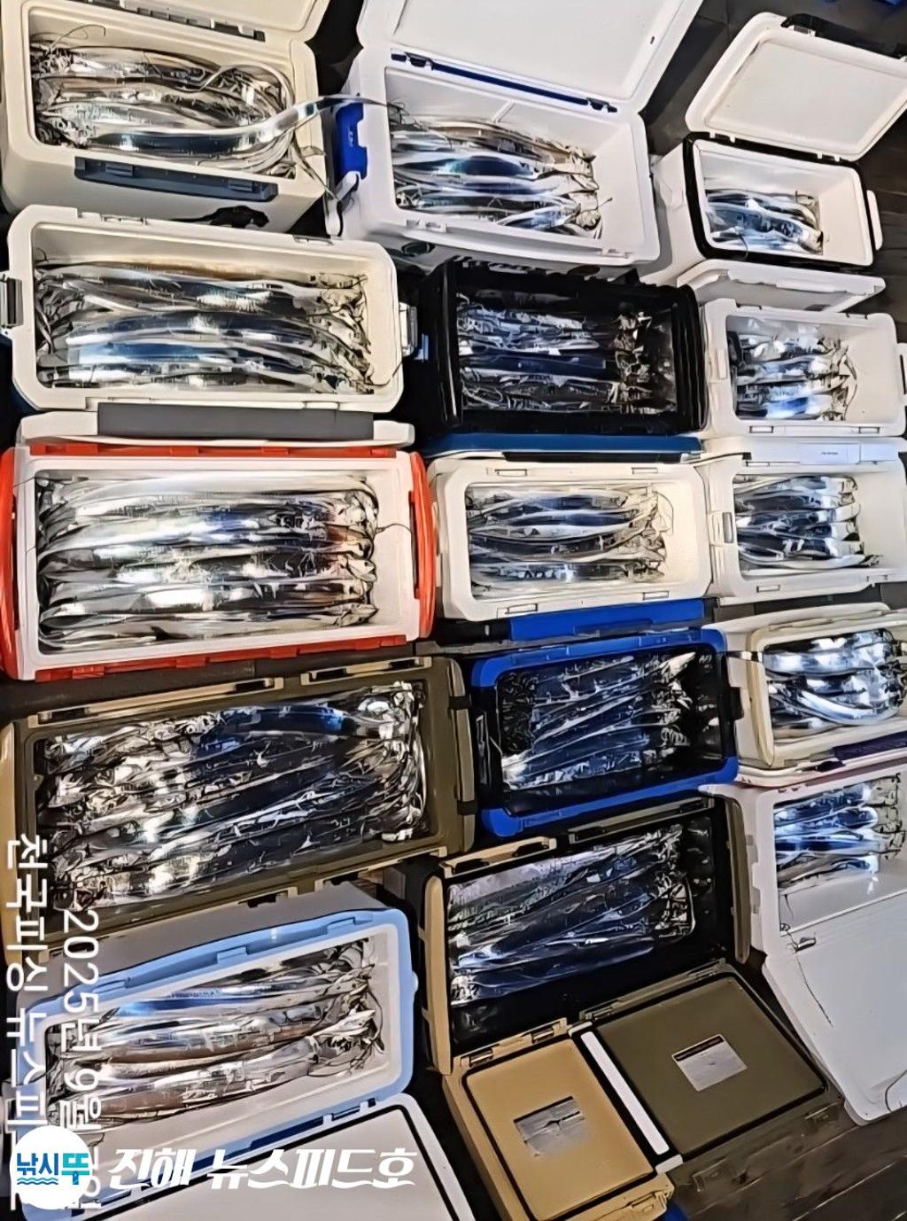 낚시뚜,갈치,진해행암항,진해 뉴스피드호,낚시뚜21