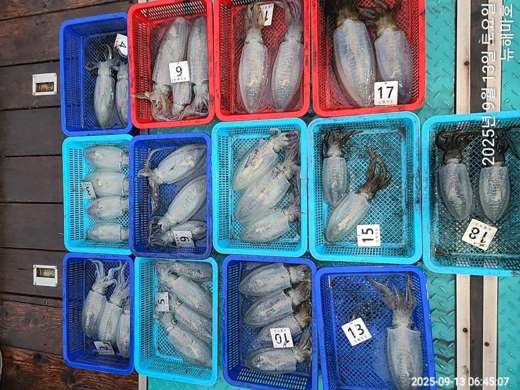 F2776767KK.jpg