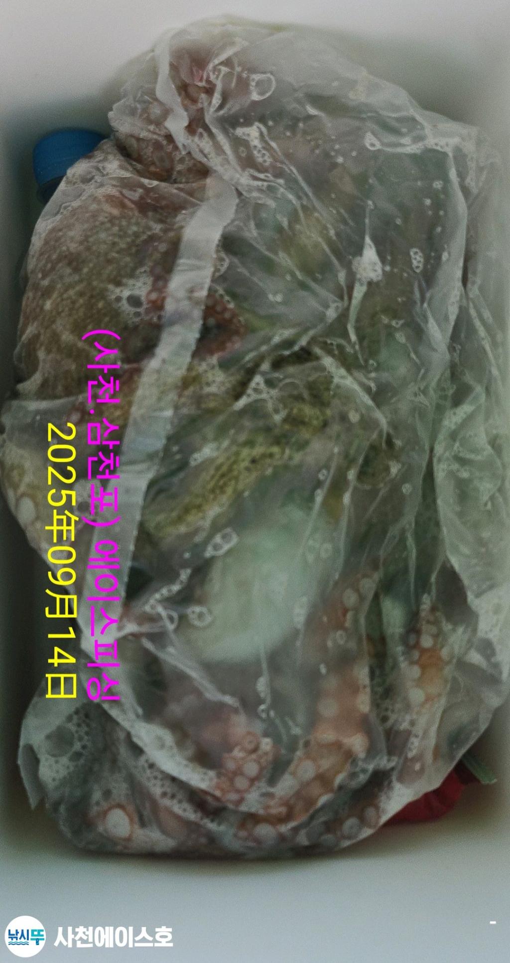 F277681589.jpg