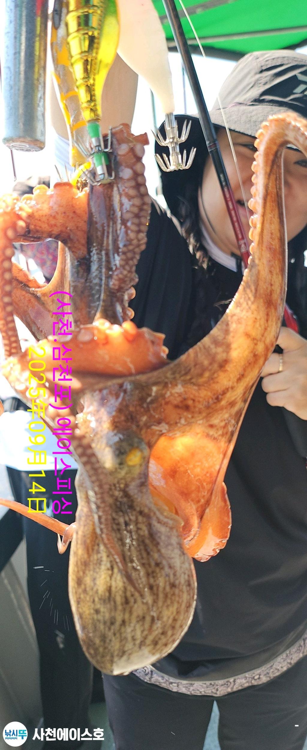 F2776817HM.jpg