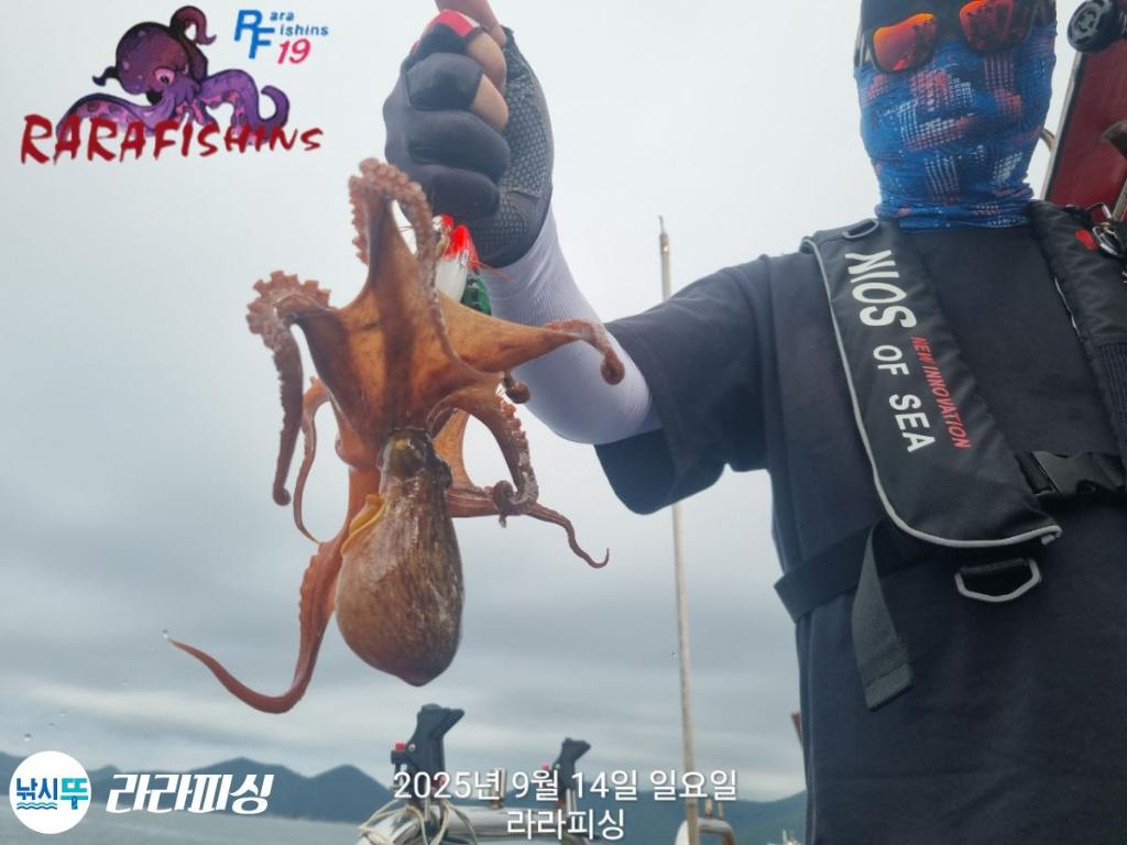 낚시뚜,돌문어,속천항(진해),라라피싱,낚시뚜13