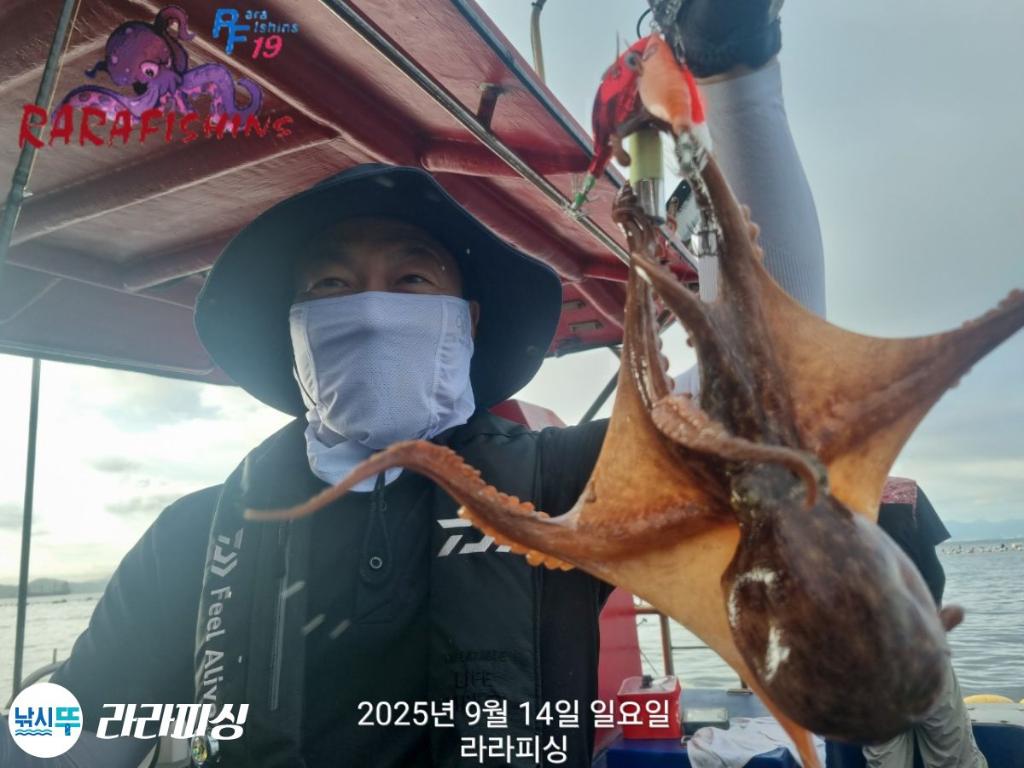 낚시뚜,돌문어,속천항(진해),라라피싱,낚시뚜12