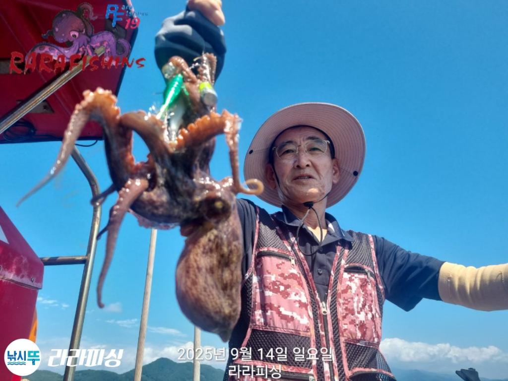 낚시뚜,돌문어,속천항(진해),라라피싱,낚시뚜11