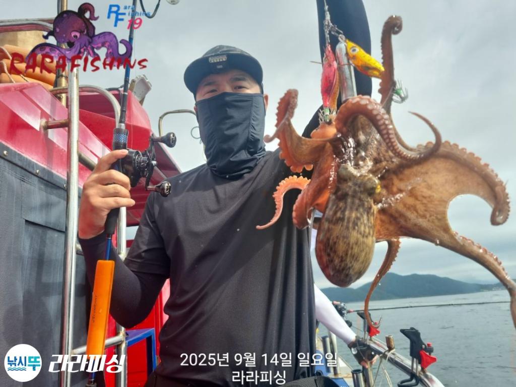 낚시뚜,돌문어,속천항(진해),라라피싱,낚시뚜9