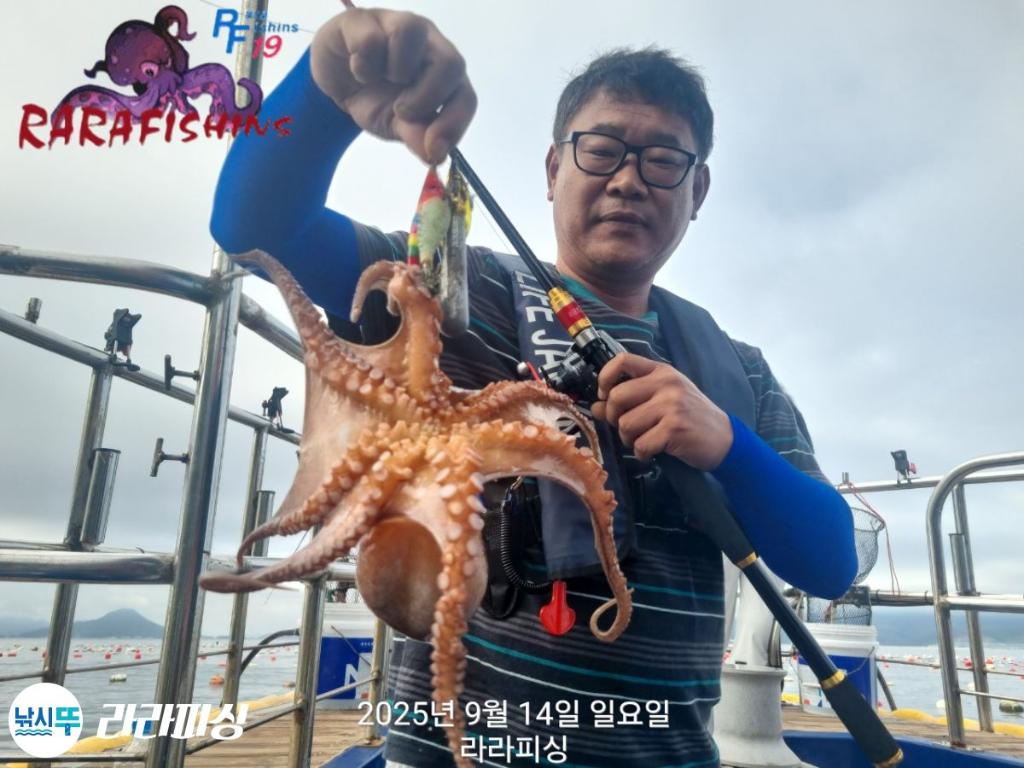 낚시뚜,돌문어,속천항(진해),라라피싱,낚시뚜6
