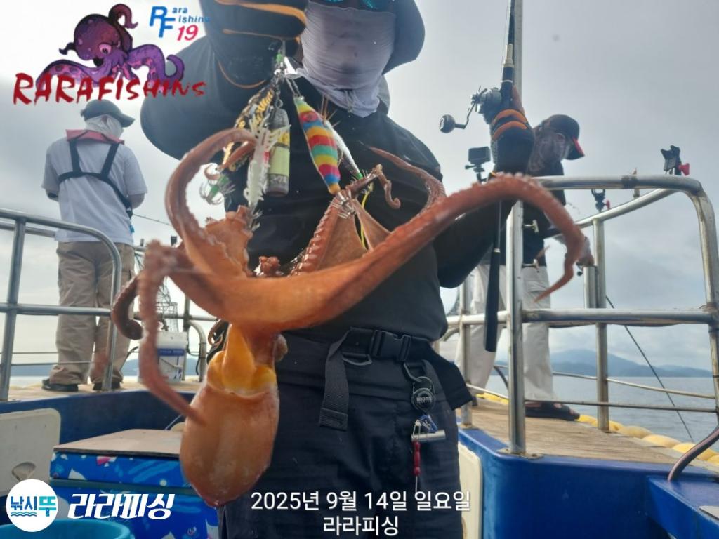 낚시뚜,돌문어,속천항(진해),라라피싱,낚시뚜5