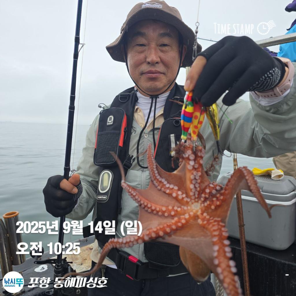 낚시뚜,돌문어,포항(운하관),포항 동해피싱호,낚시뚜18