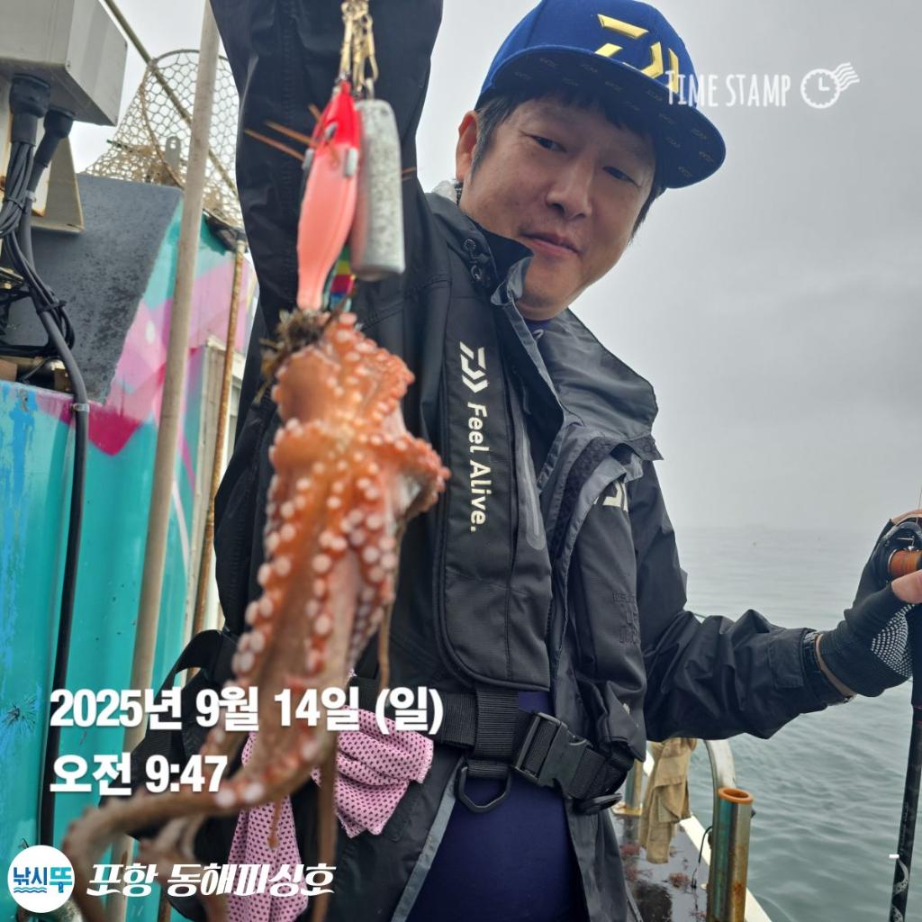 낚시뚜,돌문어,포항(운하관),포항 동해피싱호,낚시뚜15