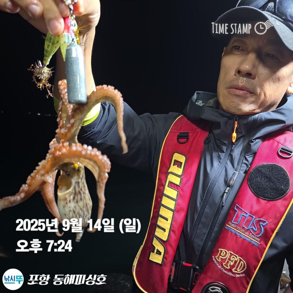 낚시뚜,돌문어,포항(운하관),포항 동해피싱호,낚시뚜7
