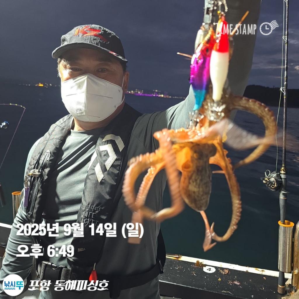 낚시뚜,돌문어,포항(운하관),포항 동해피싱호,낚시뚜4