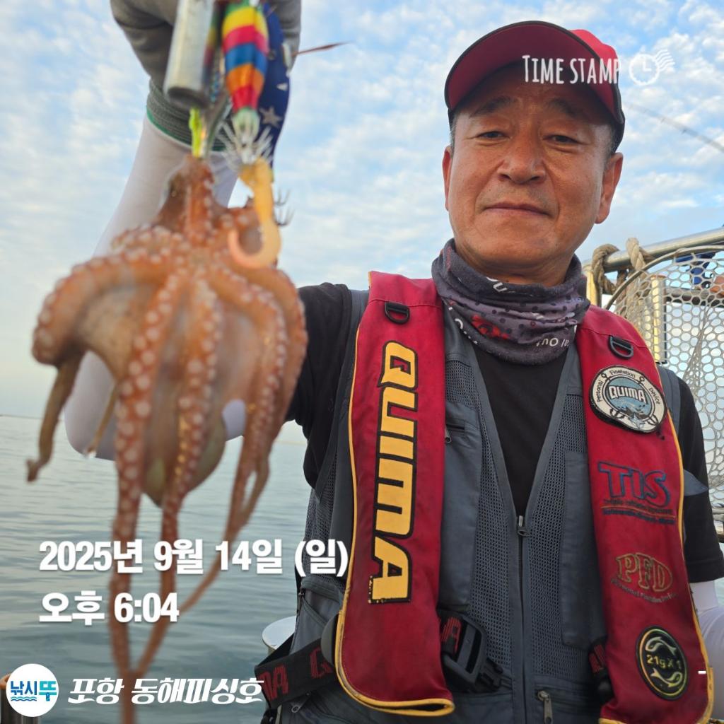 낚시뚜,돌문어,포항(운하관),포항 동해피싱호,낚시뚜3