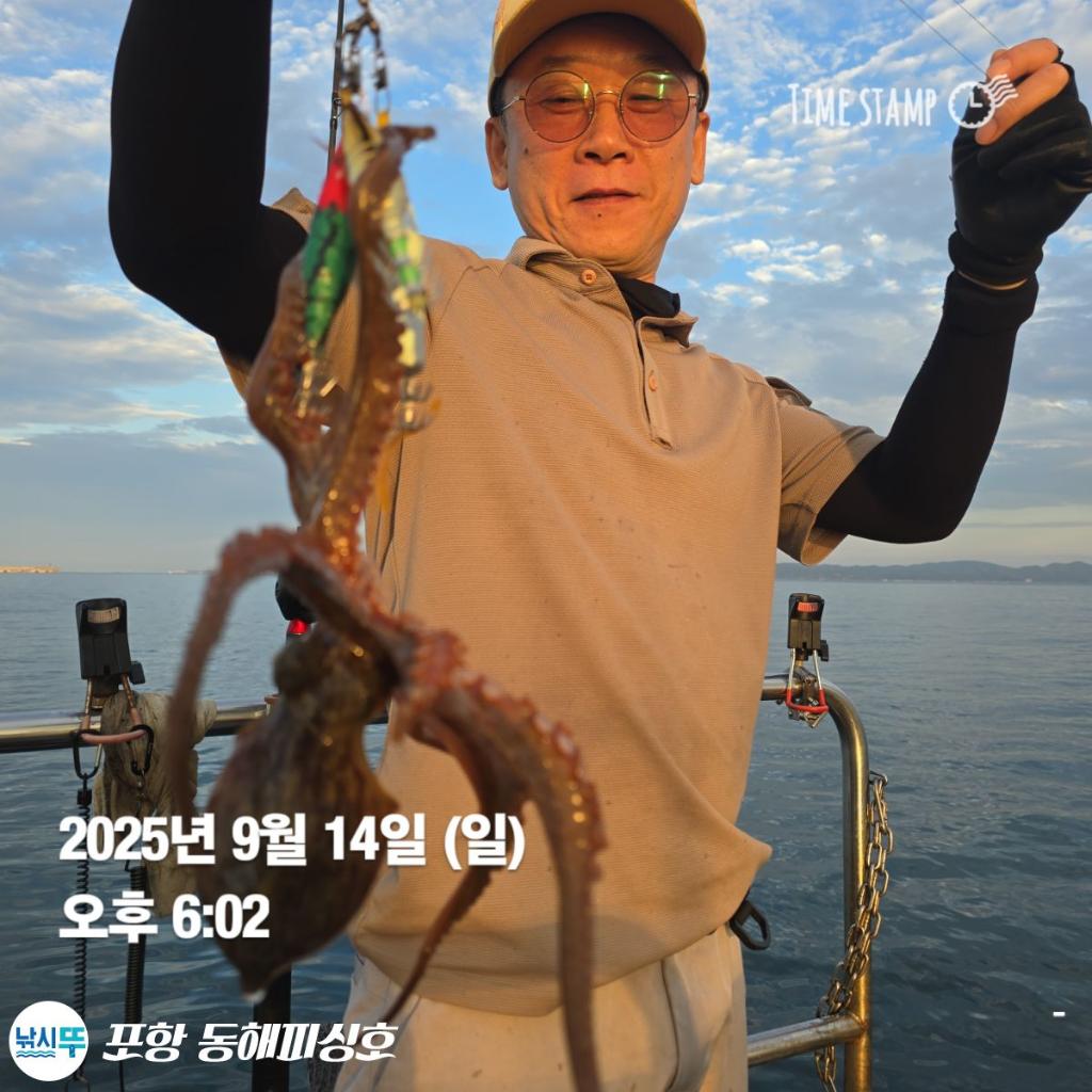 낚시뚜,돌문어,포항(운하관),포항 동해피싱호,낚시뚜2