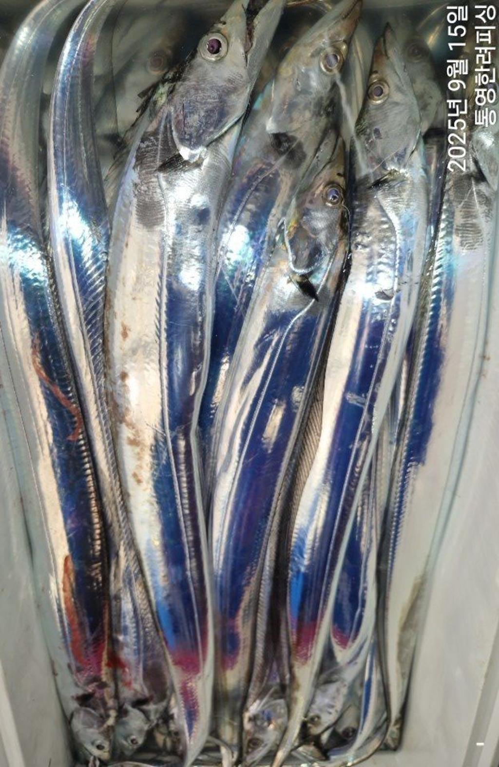 F2777075YU.jpg