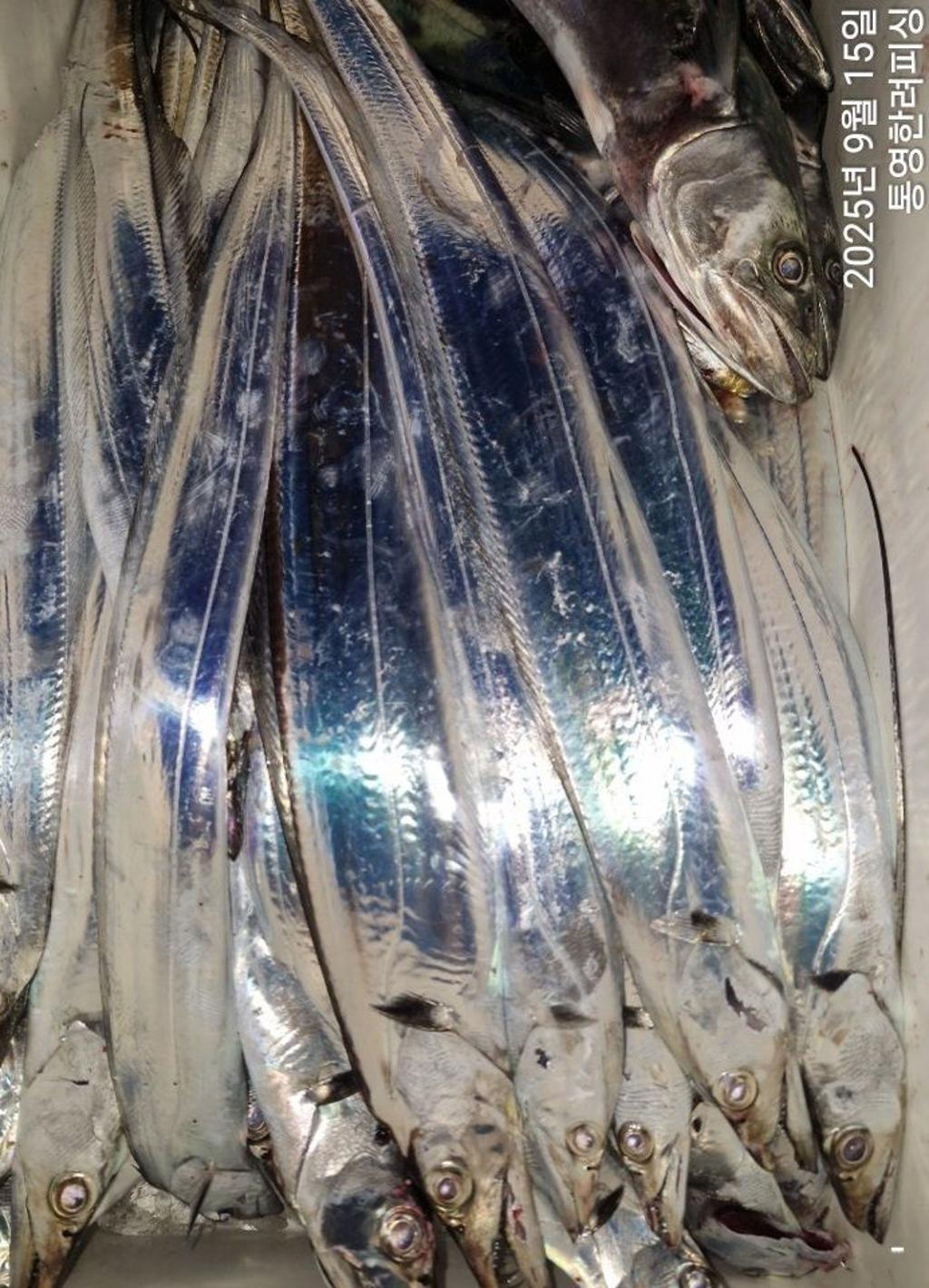 F2777083BZ.jpg