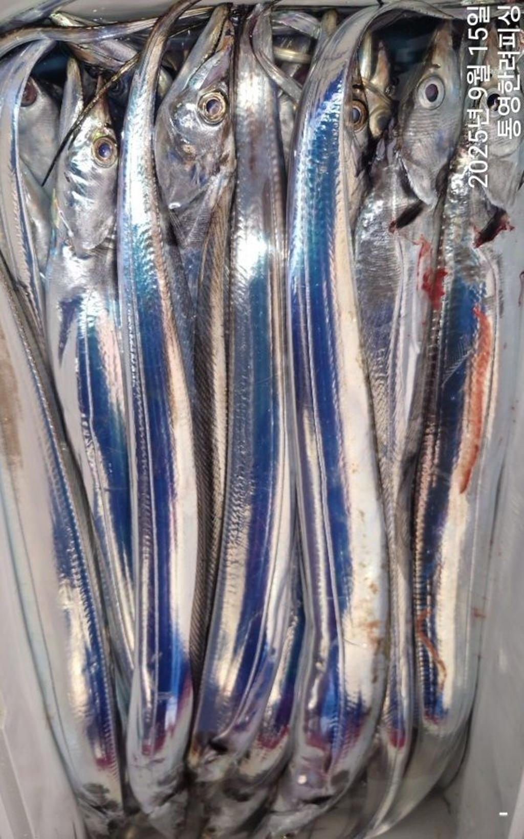 F277708409.jpg