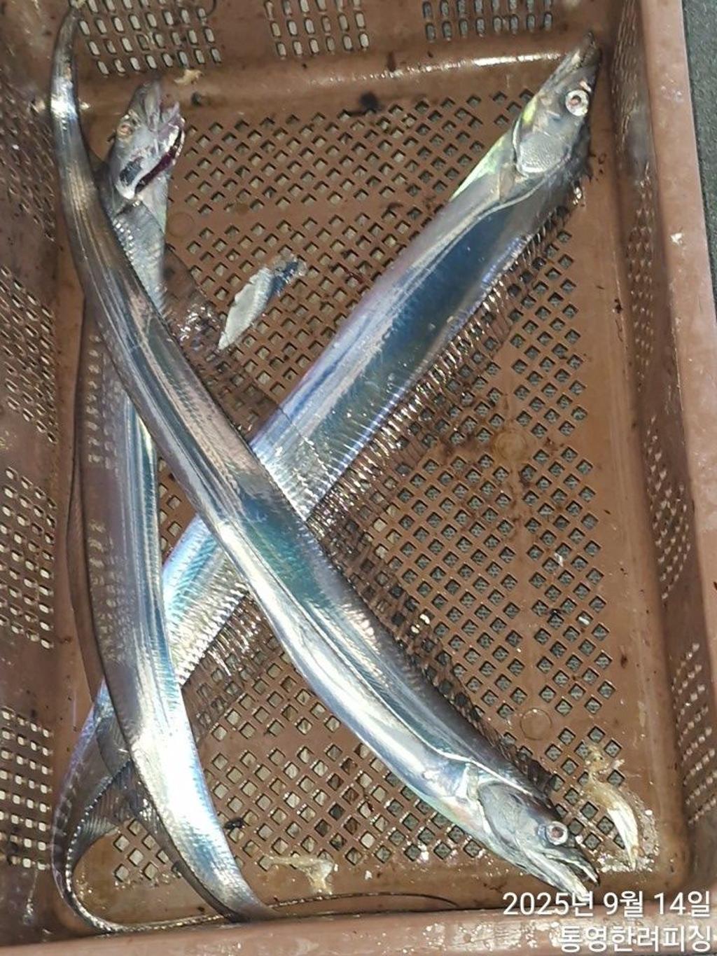 F2777089WO.jpg