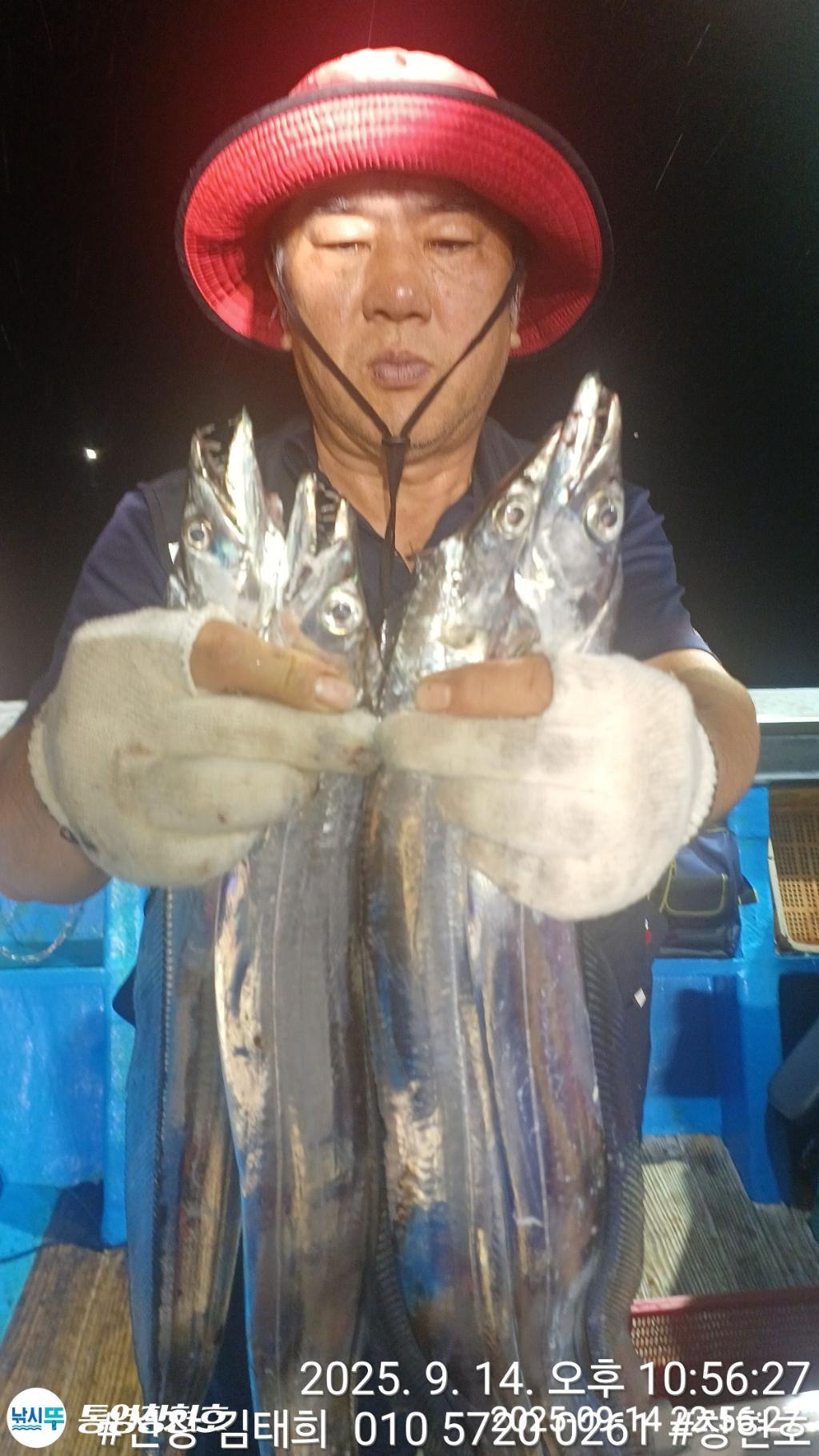 낚시뚜,갈치,통영연명항,통영창현호,낚시뚜10
