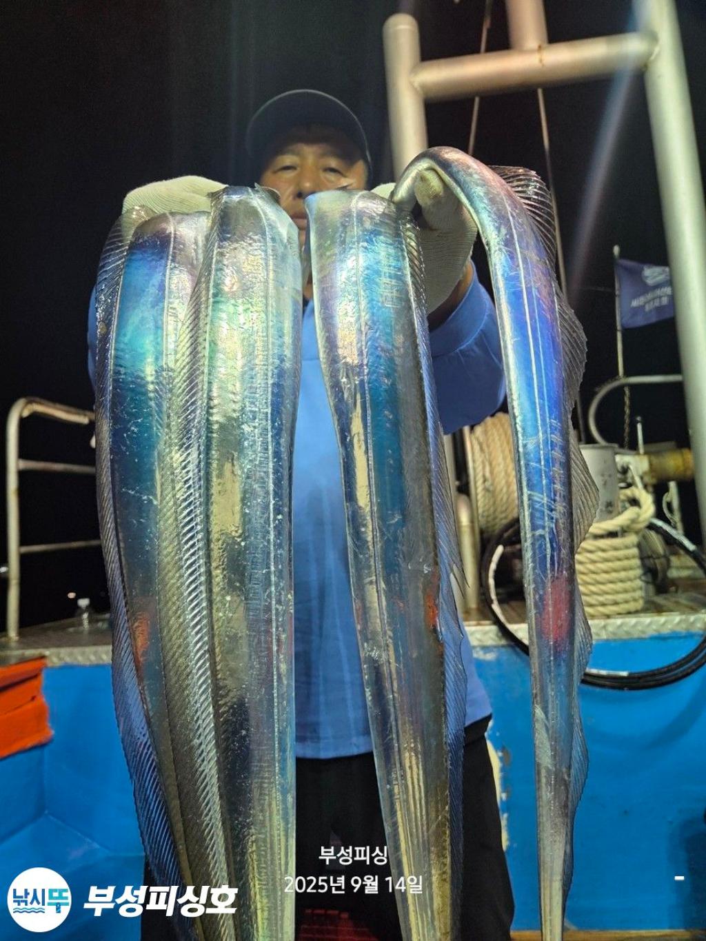 F2777154M8.jpg