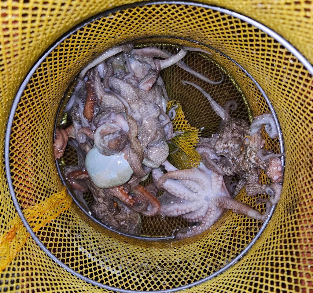 F2777235CF.jpg