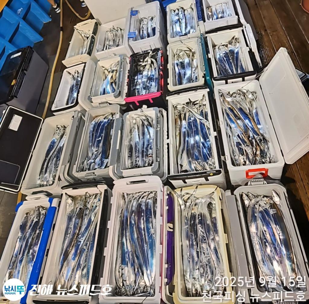 낚시뚜,갈치,진해행암항,진해 뉴스피드호,낚시뚜27