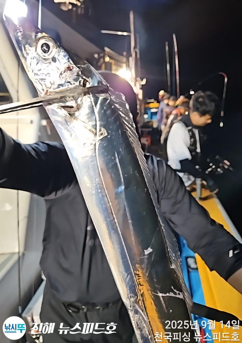 낚시뚜,갈치,진해행암항,진해 뉴스피드호,낚시뚜12