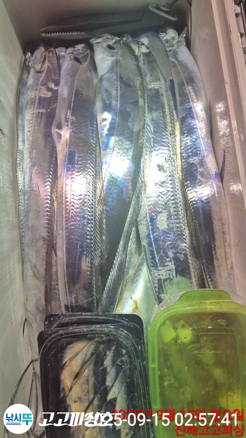 F2777422YB.jpg
