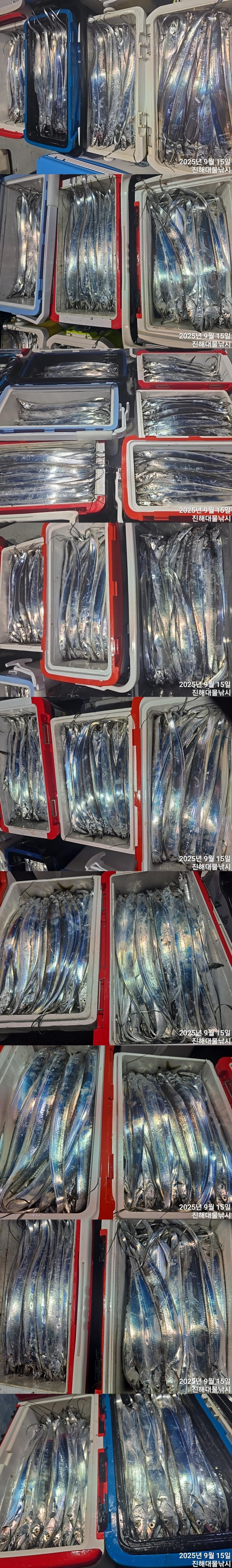 F2777572V2.jpg