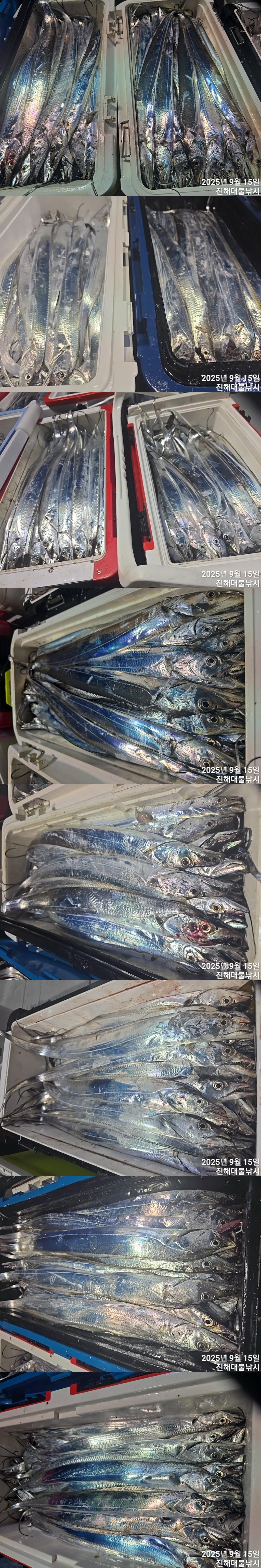 F277757322.jpg