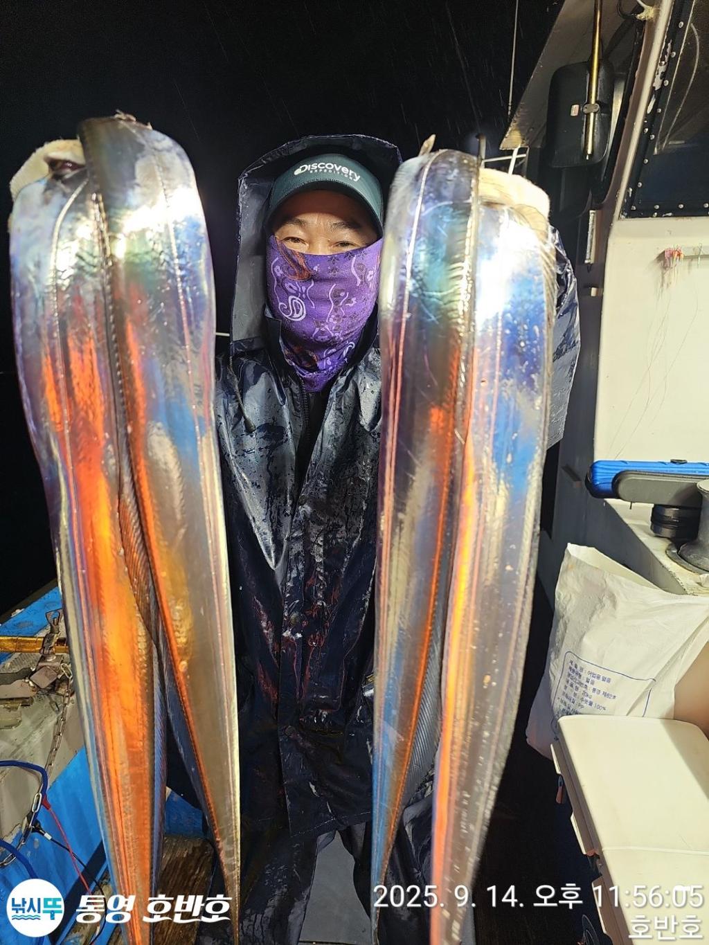 낚시뚜,갈치,통영 신전항,통영호반호,낚시뚜16