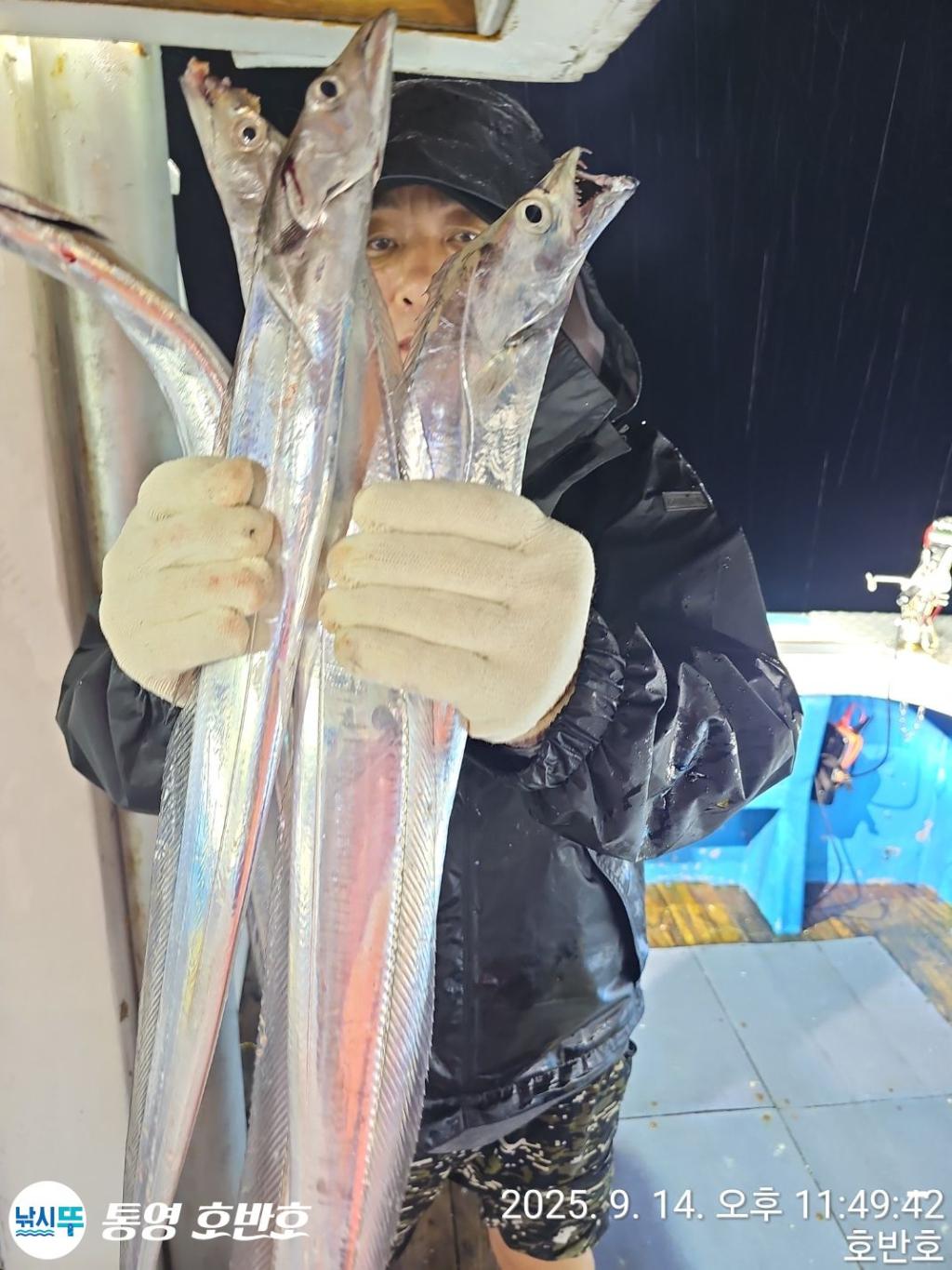 낚시뚜,갈치,통영 신전항,통영호반호,낚시뚜8