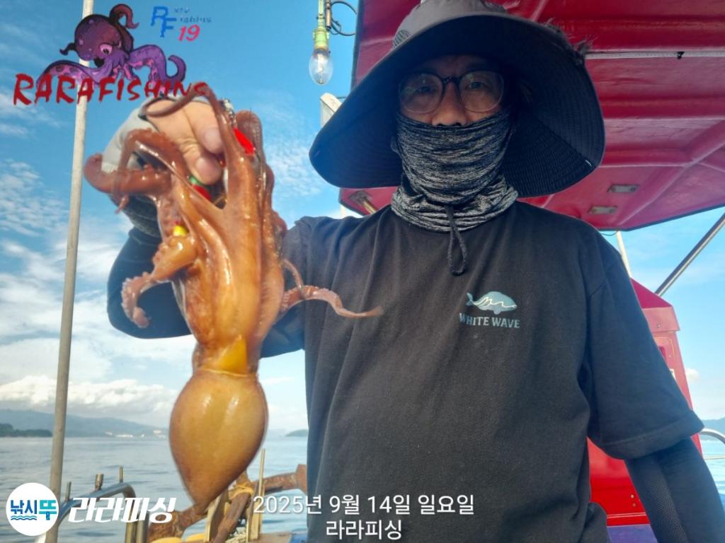 낚시뚜,돌문어,속천항(진해),라라피싱,낚시뚜12
