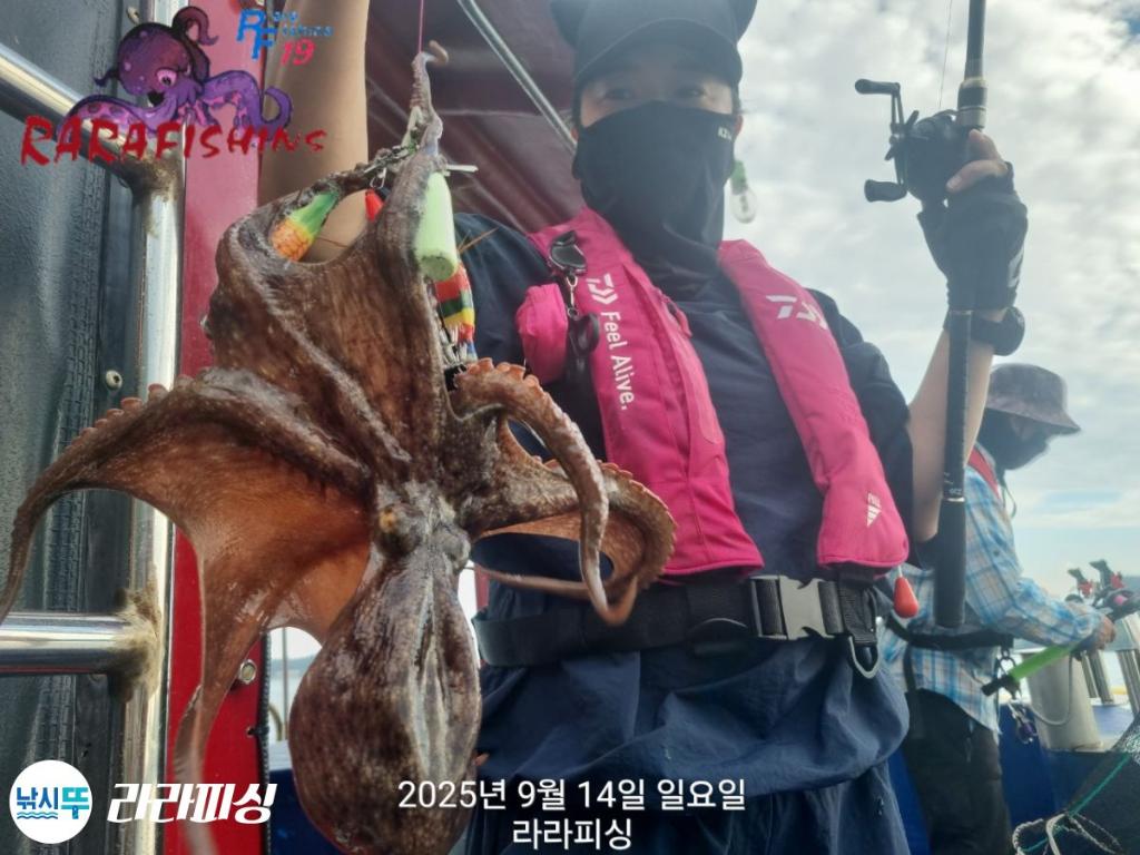 낚시뚜,돌문어,속천항(진해),라라피싱,낚시뚜9