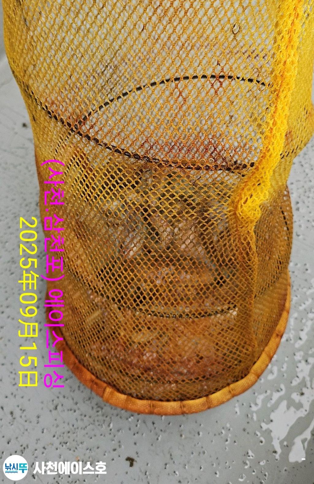 F2777756NM.jpg