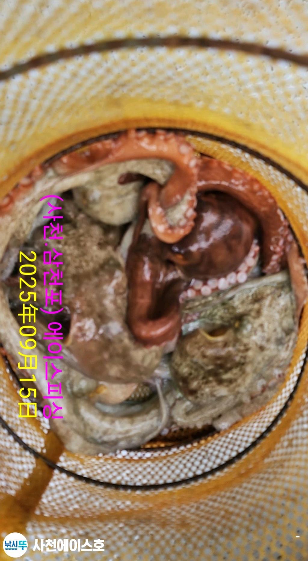 F2777757F8.jpg