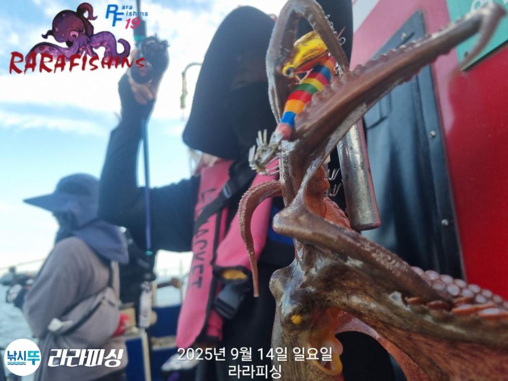 낚시뚜,돌문어,속천항(진해),라라피싱,낚시뚜10