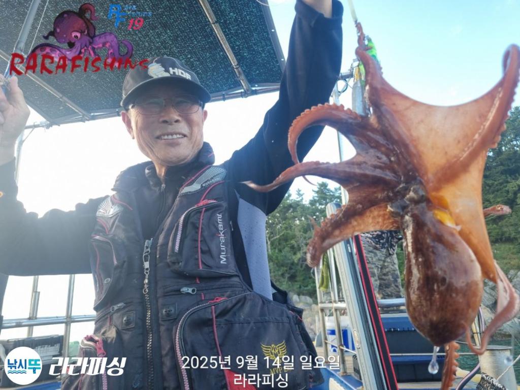 낚시뚜,돌문어,속천항(진해),라라피싱,낚시뚜7